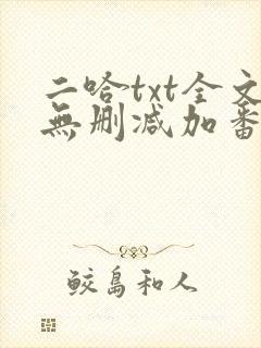 二哈txt全文无删减加番外