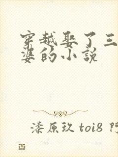 穿越娶了三个老婆的小说