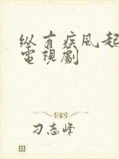 纵有疾风起免费电视剧