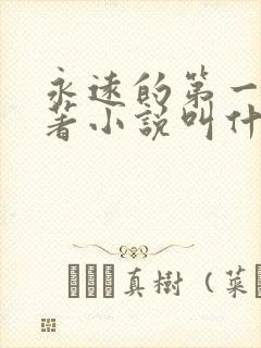 永远的第一名原著小说叫什么