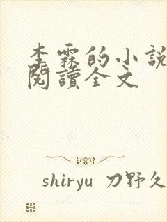 李霖的小说免费阅读全文