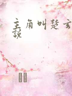 主角叫楚玄的小说