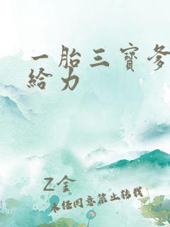 一胎三宝爹地超给力