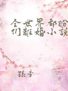 全世界都盼着我们离婚小说看