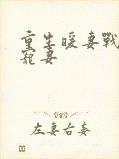 重生暖妻战少狂宠妻