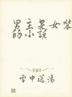 男主是女装大佬的小说