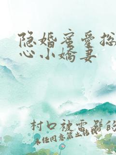 隐婚蜜爱总裁甜心小娇妻