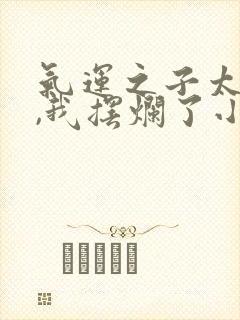 气运之子太多了,我摆烂了小说