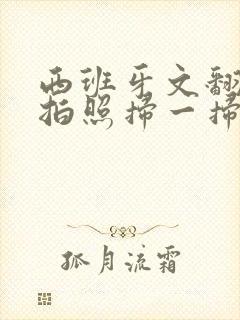 西班牙文翻译器拍照扫一扫在线