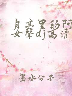 月亮里的阿妹 女声dj高清视频