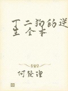 丁二狗的逆袭人生 全本