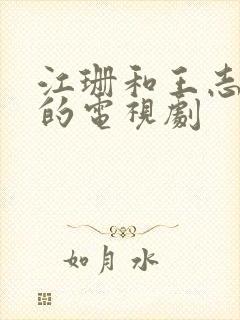 江珊和王志文演的电视剧