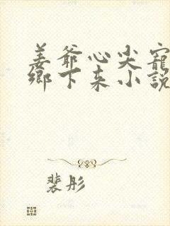 姜爷心尖宠她从乡下来小说版