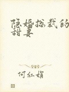 隐婚总裁的绯闻甜妻