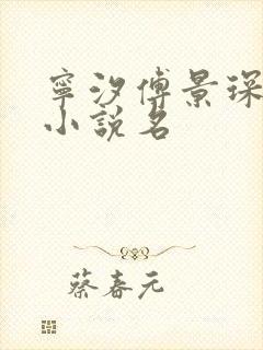 宁汐傅景琛林鸢小说名