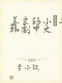 善良的小峓子2韩剧中文