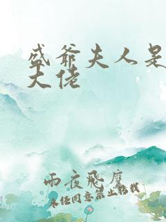 盛爷夫人是超级大佬