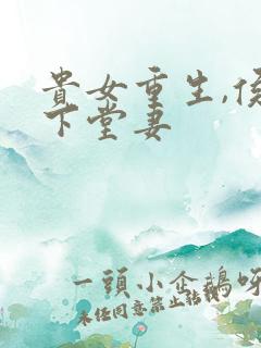 贵女重生,侯府下堂妻