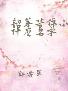 韶华若锦小说叫什么名字