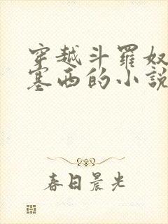 穿越斗罗奴役波塞西的小说