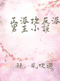 正派攻反派受双男主小说