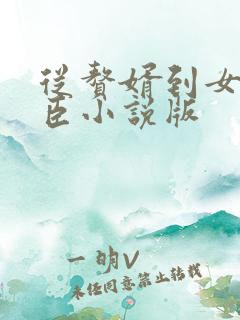 从赘婿到女帝宠臣小说版