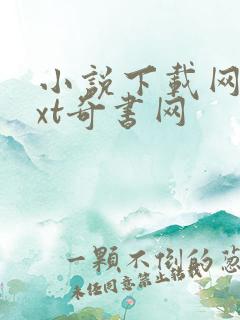 小说下载网站txt奇书网