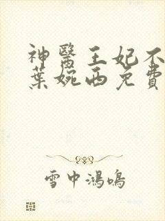 神医王妃不好惹叶婉西免费阅读