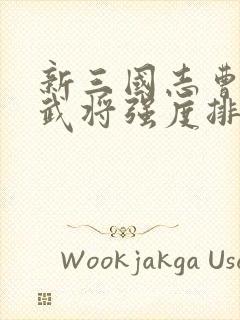 新三国志曹操传武将强度排行