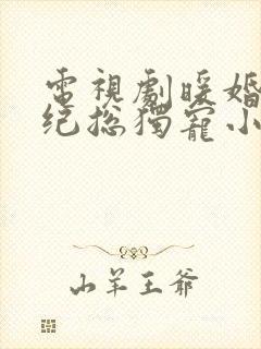 电视剧暖婚厚爱纪总独宠小甜妻