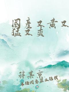 国产又黄又硬又猛又爽