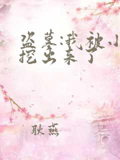 盗墓:我被小哥挖出来了