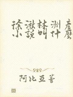徐湫林洲彦原著小说叫什么