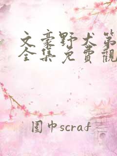 文豪野犬第一季全集免费观看下载