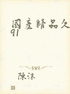 国产精品久久久91