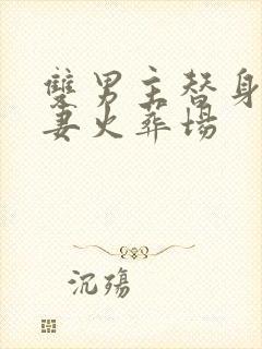 双男主替身梗追妻火葬场