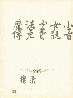 魔法少女小圆外传免费观看