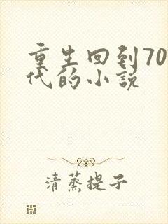 重生回到70年代的小说