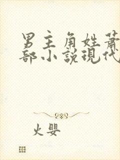 男主角姓萧的全部小说现代