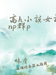 高h小说女调教np群p