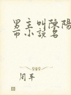 男主叫陈阳的都市小说名