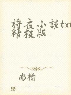 将夜小说txt精校版