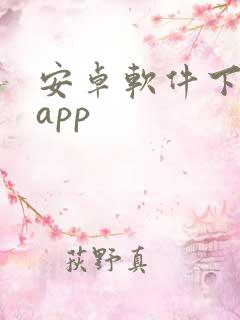 安卓软件下载的app