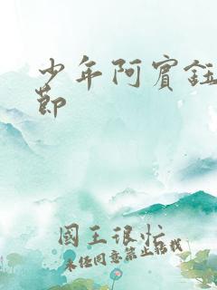 少年阿宾钰慧章节