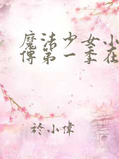 魔法少女小圆外传第一季在线观看