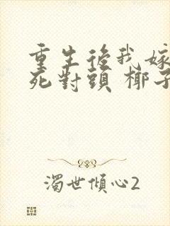 重生后我嫁给了死对头 椰子絮