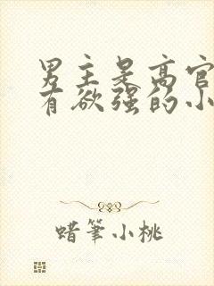 男主是高官且占有欲强的小说