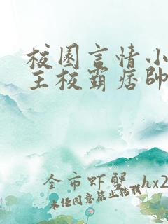 校园言情小说男主校霸痞帅