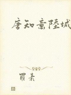 唐知意陆城小说