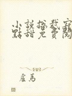 小说总裁宠妻有点甜免费阅读